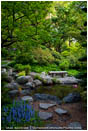 Japanese Garden in Spring 6 Stock Image Ashland, Oregon