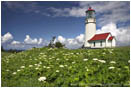 Royalty Free Stock Photo: Cape Blanco Lighthouse