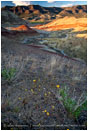 Painted Hills 5 Stock Image Wheeler County, Oregon