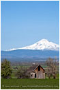 Mt. Jefferson overlooking Farm Stock Image Central Oregon