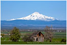 Mt. Jefferson overlooking Farm 2 Stock Image Central Oregon