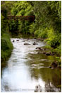 Bear Creek Stock Image Medford, Oregon