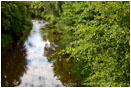 Bear Creek 2 Stock Image Medford, Oregon