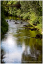 Bear Creek 4 Stock Image Medford, Oregon
