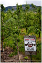 Winery Warning Sign Stock Image Medford, Oregon