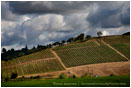 RoxyAnn Winery 2 Stock Image Medford, Oregon