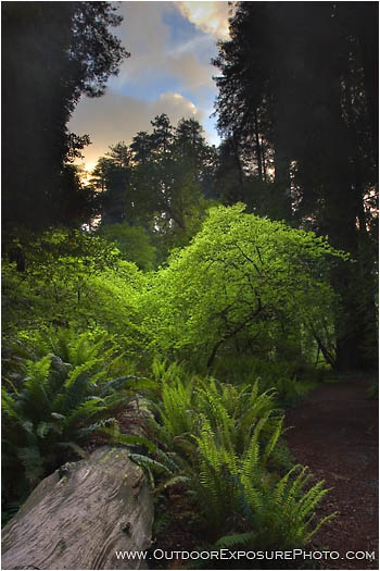 Royalty Free Stock Photo: Illuminated