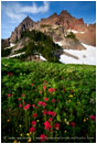 Three Fingered Jack 3 Stock Image Mt. Jefferson Wilderness, Oregon