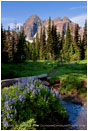 Three Fingered Jack 6 Stock Image Mt. Jefferson Wilderness, Oregon