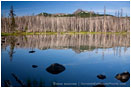 Three Fingered Jack 8 Stock Image Mt. Jefferson Wilderness, Oregon
