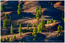 Painted Dunes 3 Stock Image Lassen Volcanic National Park, California