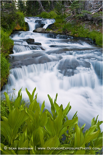 Kings Creek Falls 6 Stock Image Lassen Volcanic National Park, California