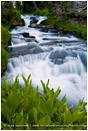 Kings Creek Falls 6 Stock Image Lassen Volcanic National Park, California