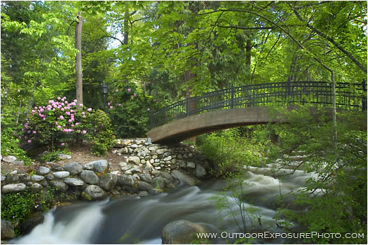 Rights Managed Stock Photo: Ashland Creek In Spring II