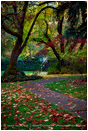 Lithia Park in Fall Stock Image Ashland, Oregon