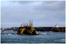 Cape Arago Lighthouse Stock Image Charleston, Oregon