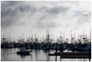 Charleston Harbor Stock Image Oregon