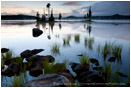 Waldo Lake 11 Stock Image Cascade Mountains, Oregon