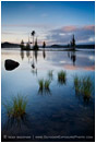 Waldo Lake 12 Stock Image Cascade Mountains, Oregon