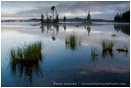 Waldo Lake 13 Stock Image Cascade Mountains, Oregon