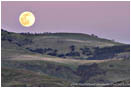Royalty Free Stock Photo: Full Moon Rise Over Grizzly