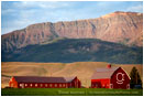 Red Barn under Wallowa Mountains Stock Image Joseph, Oregon