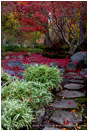 Japanese Garden Fall 10 Stock Image Lithia Park, Ashland, Oregon