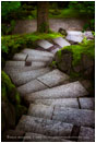 Garden Steps Stock Image, Portland, Oregon