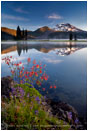 Sparks Lake Columbine Print, Bend, Oregon