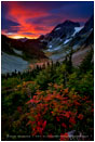 Unforgettable Fire Print, North Cascades NP, Washington