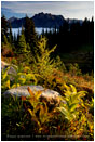 Heather Pass Stock Image, North Cascades, Washington