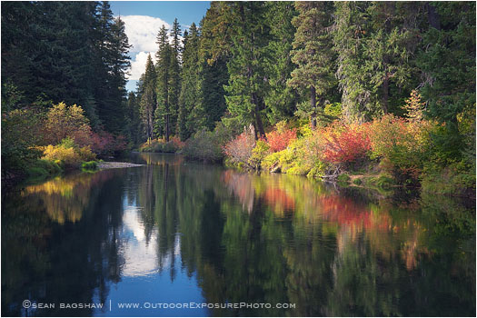 River Corridor Stock Image, Rogue River, Oregon
