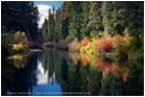 River Corridor Stock Image, Rogue River, Oregon