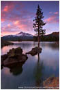 Pine Island Stock Image, Sparks Lake, Central Oregon Cascade Range