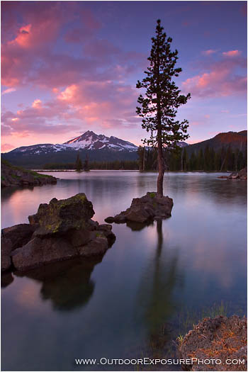 Print: Pine Island