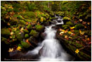 Starvation Creek Stock Image, Columbia Gorge, Oregon