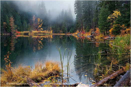 Rite Of Autumn Print, Hidden Lake, Washington
