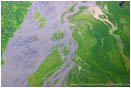 Rights Managed Stock Photo: Braided River