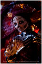 Dead Beauty Print, Baja, Mexico
