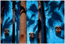 Viento Azul Print, Baja, Mexico