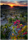 Trinchera Sunset Stock Image, Baja, Mexico