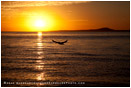 Sea Of Cortez Sunrise 5 Stock Image, Baja, Mexico