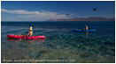 Baja Kayaking 2 Stock Image, Baja, Mexico