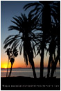 Sea Of Cortez Sunrise 6 Stock Image, Baja, Mexico