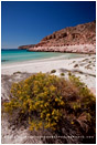 Isla Espiritu Santo Bay 1 Stock Image, Baja, Mexico