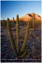 Baja Desert 1 Stock Image, Baja, Mexico