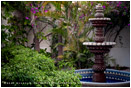 Garden Fountain 2 Stock Image, Baja, Mexico