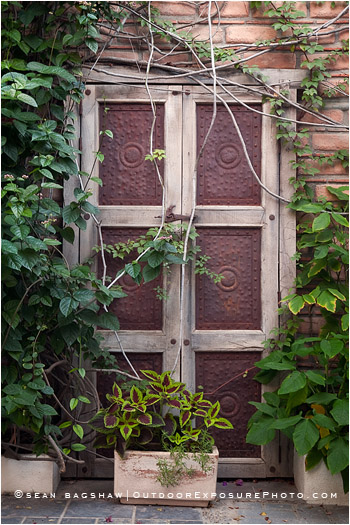 Garden Door Stock Image, Baja, Mexico