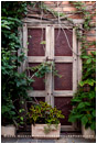 Garden Door Stock Image, Baja, Mexico