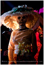 Day Of The Dead 1 Stock Image, Baja, Mexico